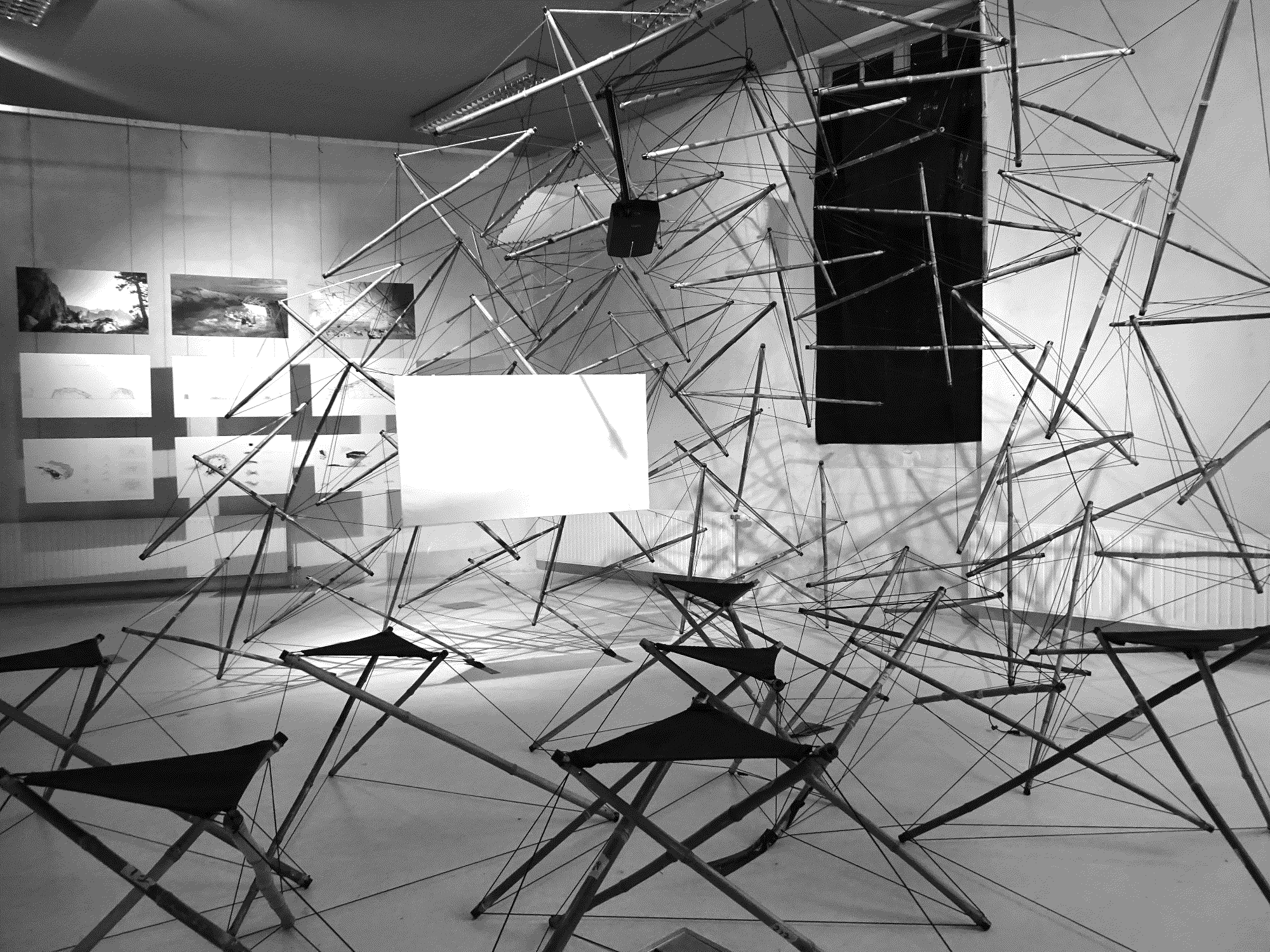 Ludovic_Regnault_Diploma_1, 2018, Bambu & Polypropylene